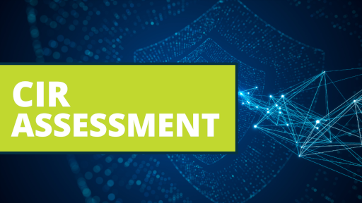 Cyber Incident Response Assessment