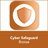Cyber Safeguard – Bronze